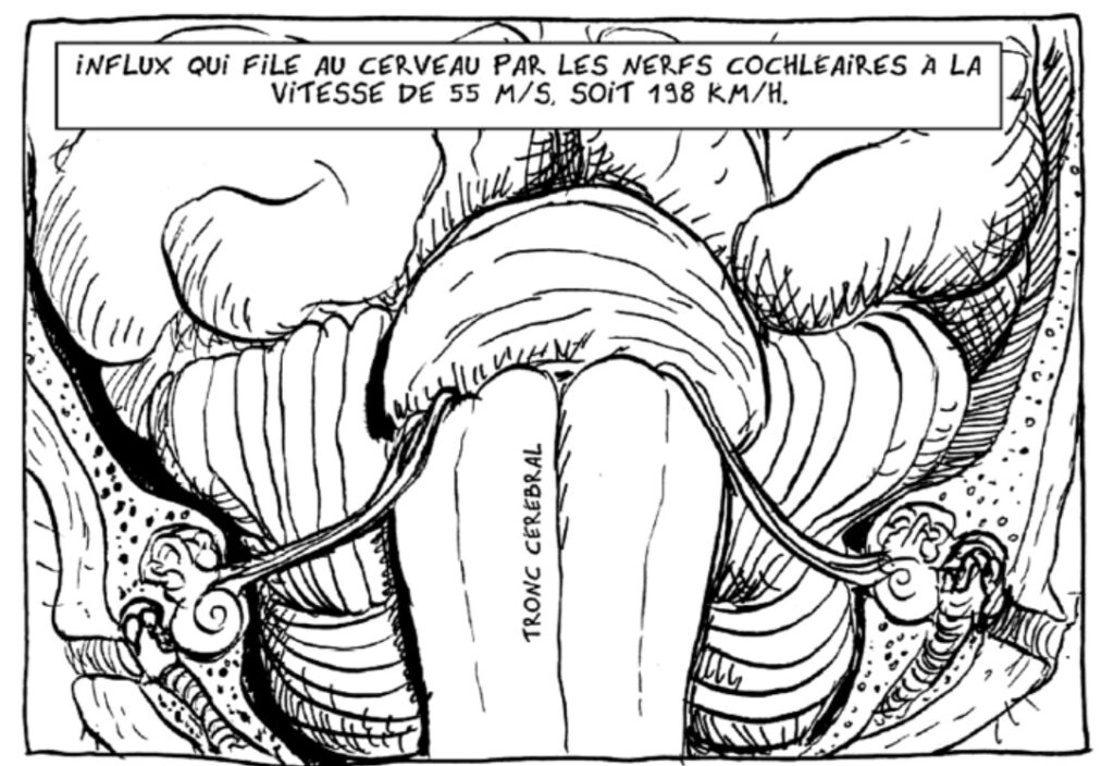 extrait bd Un petit vélo dans la tête - La journée (presque) ordinaire d'un cerveau