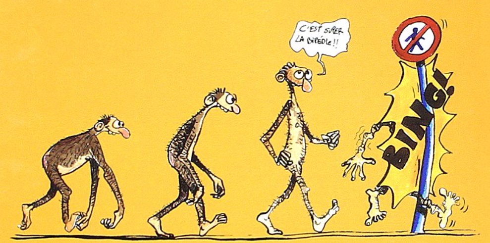 extrait bd La longue marche d'Homo sapiens - La fabuleuse histoire du bipède