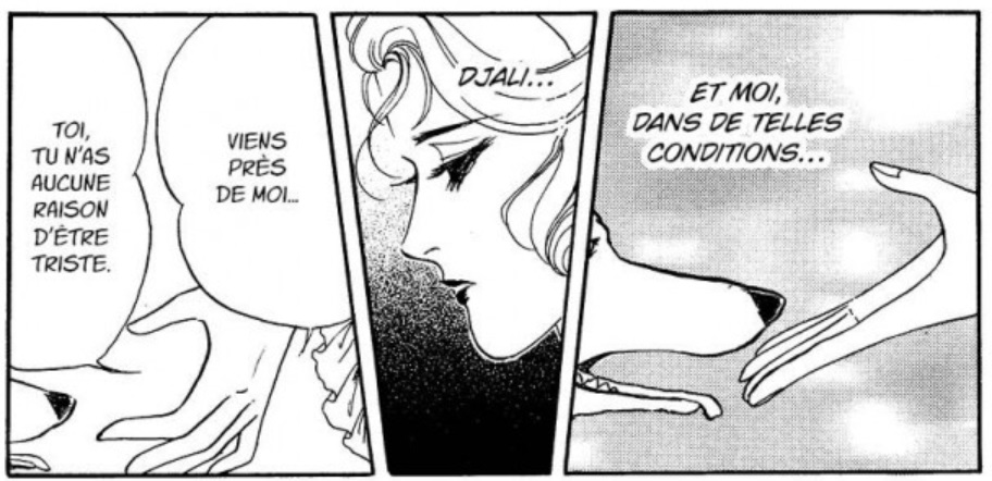 extrait bd Madame Bovary