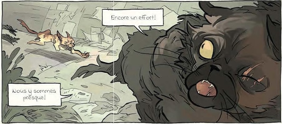 extrait bd Sa majesté des chats