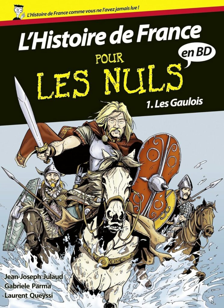 Jeu L'Histoire De France Pour Les Nuls – Nintendo DS – PAL – Bon état