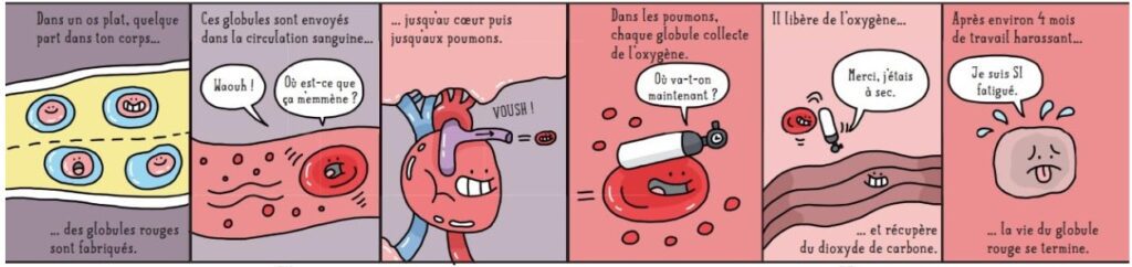 extrait bd Sciences en BD - La vie sur Terre