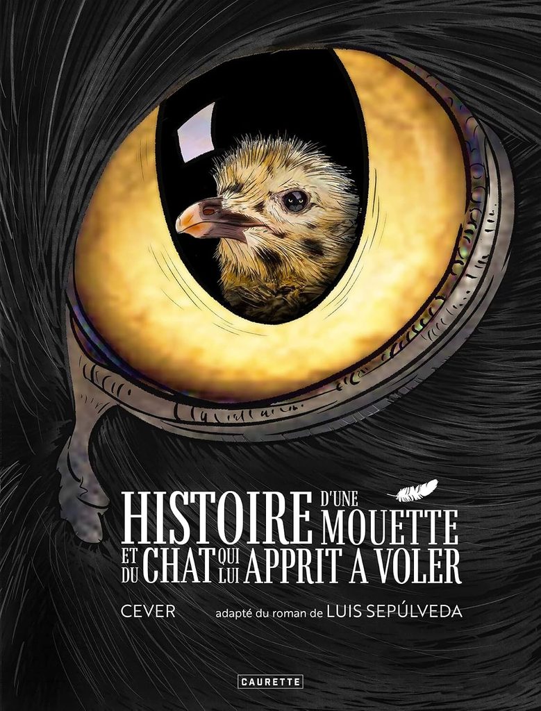 couverture bd Histoire d'une mouette et du chat qui lui apprit à voler