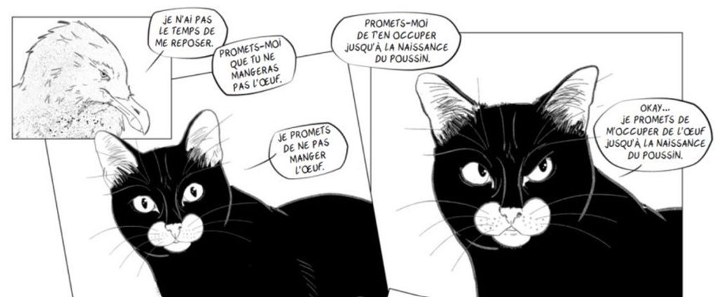 extrait bd Histoire d'une mouette et du chat qui lui apprit à voler